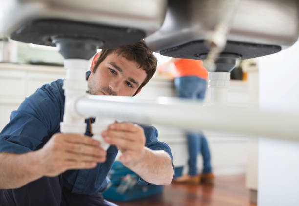 Best Drain Cleaning Services  in Merrillville, IN